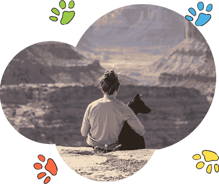 网站攻击工具手机版