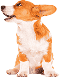 平台在线ddos压力测试